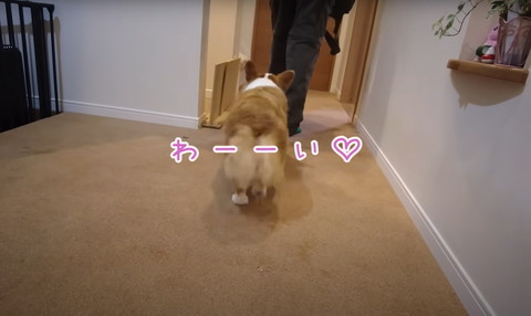 わーいテロップ