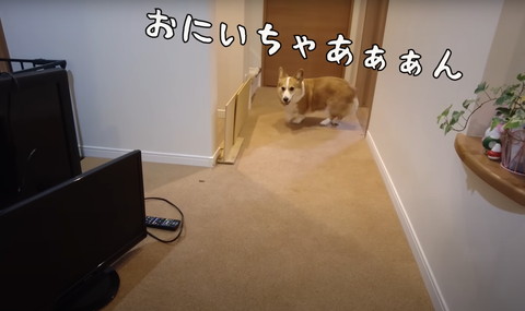 おにいちゃぁああんテロップ