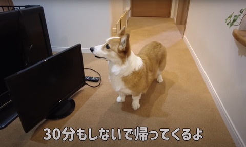 30分もしないで帰ってくるよ