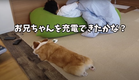 充電できたかなテロップ