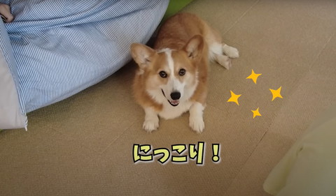 にっこりテロップ