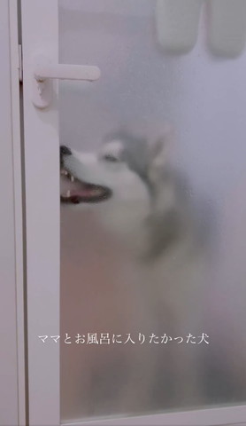 お風呂場の前のワンコ横顔目ほそめてる