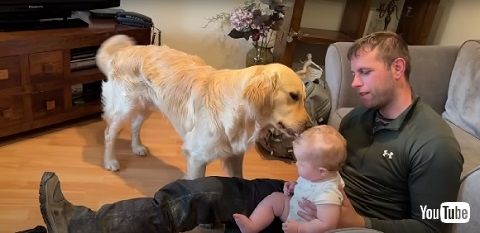 ワンコと赤ちゃんの再会