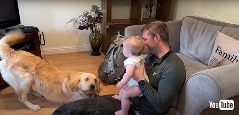 ワンコと赤ちゃんの再会