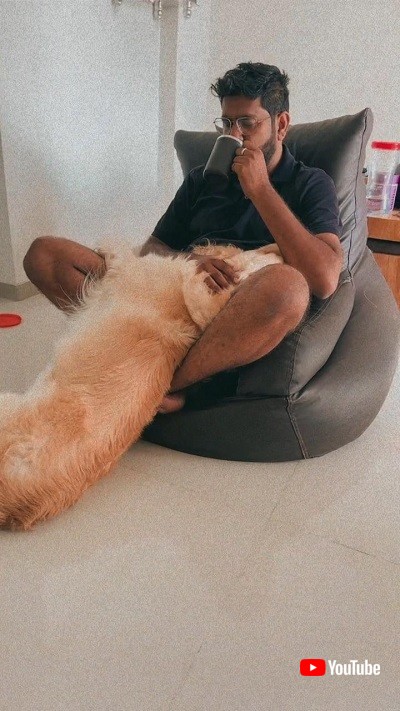 寝ているワンコ