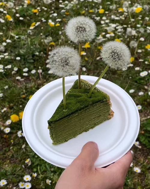 タンポポのメリケンサック