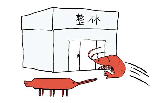 整体に行ったエビ 駆け込む まっすぐ 背筋 伸びる シュール イラスト 漫画 sattou