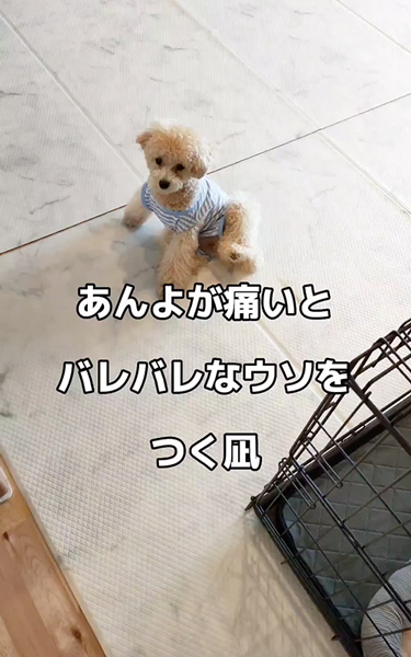 おすすめ