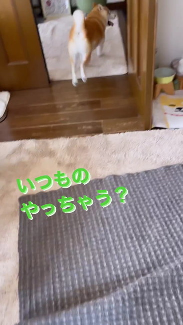 いつものやっちゃう？