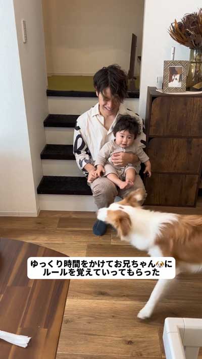 ゆっくりボーダーコリーに教えた