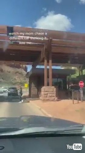 「Mom Chases Random Vehicle Thinking It's Her Son's Car - 1424991」