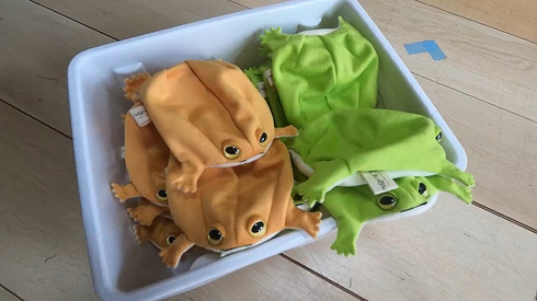 アメフクラガエル　ぬいぐるみ