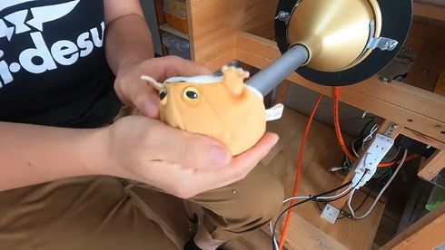 アメフクラガエル　ぬいぐるみ