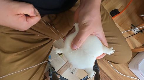 アメフクラガエル　ぬいぐるみ