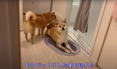 もうびっくりした俺もテロップ