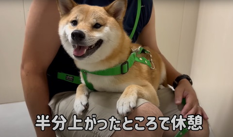 半分あがったところで休憩テロップ