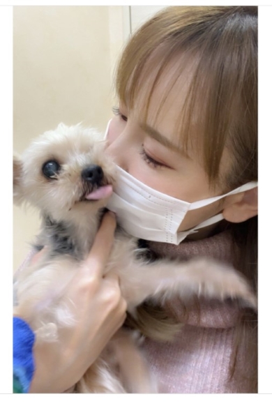 上原さくらとペット