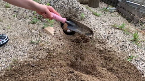 ウサギの出した土を片付けるスコップ