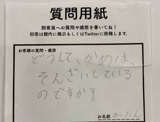 道の駅 紀宝町 ウミガメ公園 子ども 質問 カメ 存在 飼育員 回答