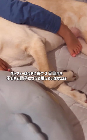 おすすめ