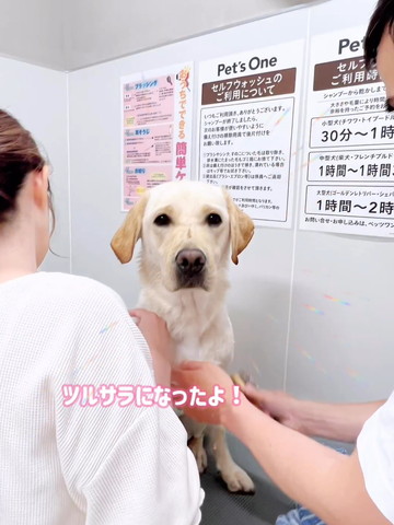 ツルサラになったよテロップ