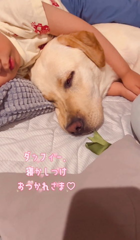 寝かしつけお疲れさまテロップ