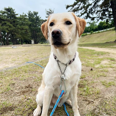 らぶらどーるお座り