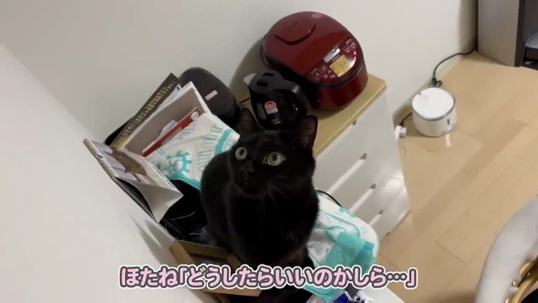 どうしたらいいの？