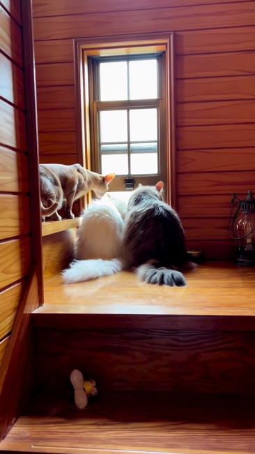 お気に入りの場所