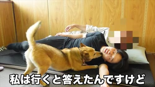 タチバナさんの毎日ルーティンのコロ