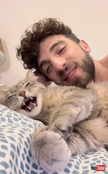 飼い主の言葉をマネする猫