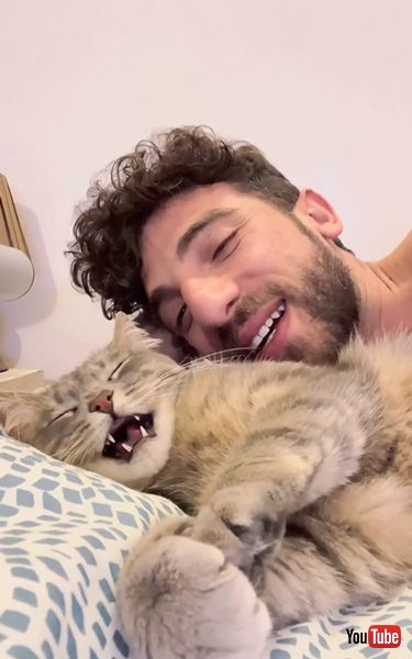 飼い主の言葉をマネする猫