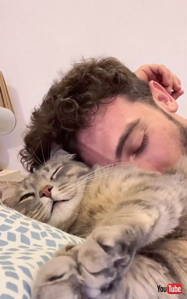 飼い主の言葉をマネする猫