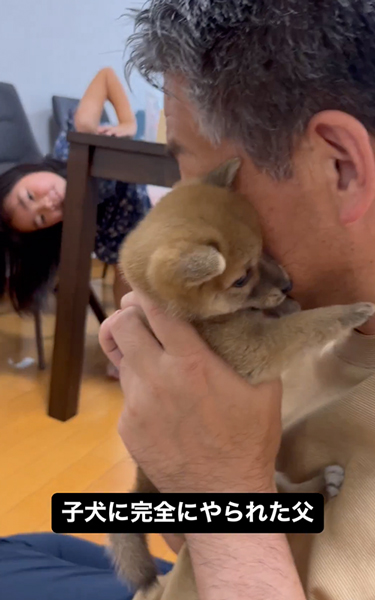 柴子犬とお父さん