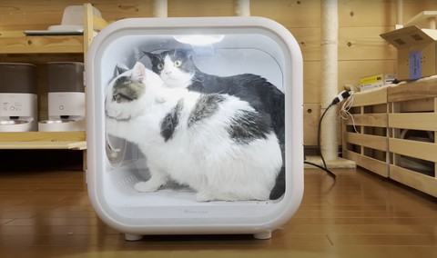 ペットドライヤーハウスに猫2匹肩に前足乗せる猫