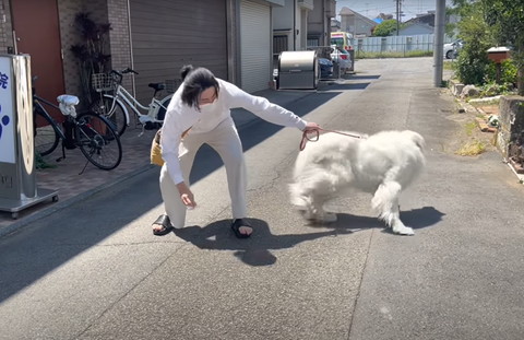 かがむ飼い主と振り返るワンコ