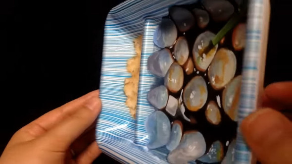 ポルカノエ POLKAnoe　リアル絵　わらびもち