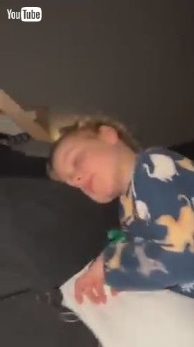 「Dramatic Toddler Gets Annoyed When His Dad Tells Him That He's Just Tired - 1430796」