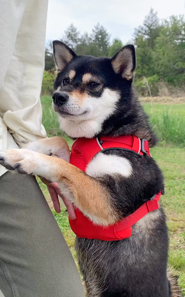 テントの設営が進まない理由