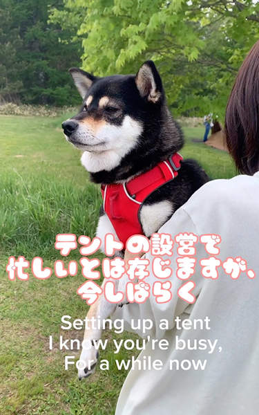 テントの設営が進まない理由
