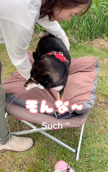 テントの設営が進まない理由