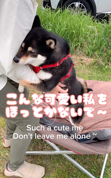 テントの設営が進まない理由