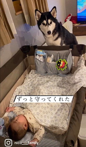 ずッと守ってくれたテロップ