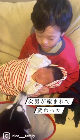 次男が産まれて変わったテロップ