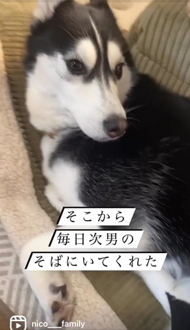 そこから毎日次男のそばにテロップ