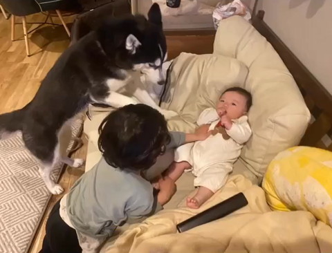 子供ふたりとワンコ