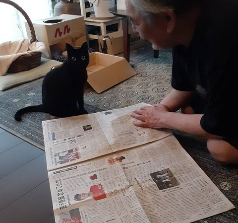新聞と猫とお父さん