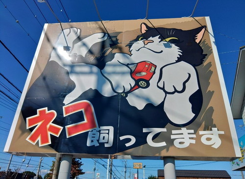 ねこ好き車屋さん