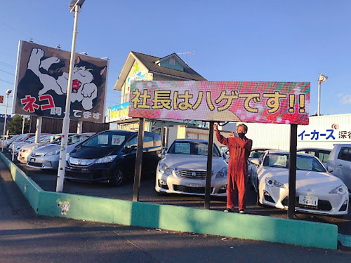 猫巨大看板遠目のショット