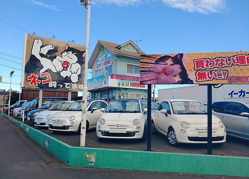 猫巨大看板遠目のショット